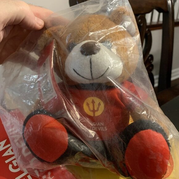 Belgian Red Devils Plush Teddy Bear Mascot Belgium URBSFA KBVB Soccer Football - Picture 1 of 6